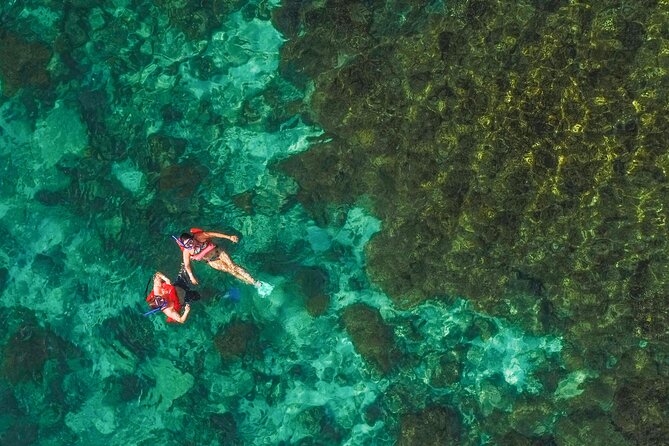 La Paz World Class Snorkeling in Balandras Hidden Beaches - Simple ways to make the day better