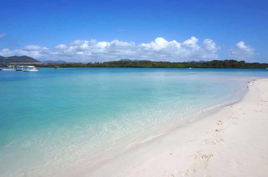 La Preneuse: Dolphin Swimming and Snorkeling Speedboat Trip - The boat ride along Mauritius’s west coast