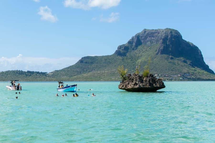 La Preneuse: Dolphin Watching and Snorkeling Speedboat Tour - The honest issue: crowds and dolphin welfare