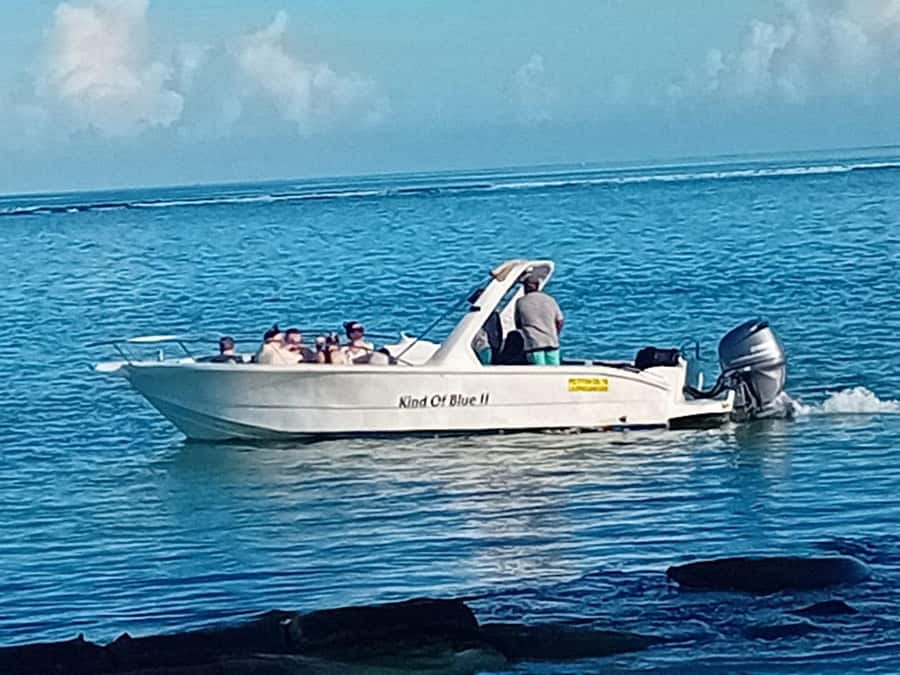 La Preneuse: Dolphin Watching and Snorkeling Speedboat Tour - Who will enjoy this speedboat outing most