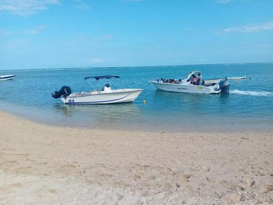 La Preneuse: Dolphin Watching and Snorkeling Speedboat Tour - Practical preparation for a better encounter