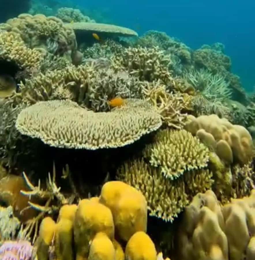 Labuan Bajo: Rangko Cave and Beach Snorkeling Half-Day Tour - Boleng Beach has the best water time