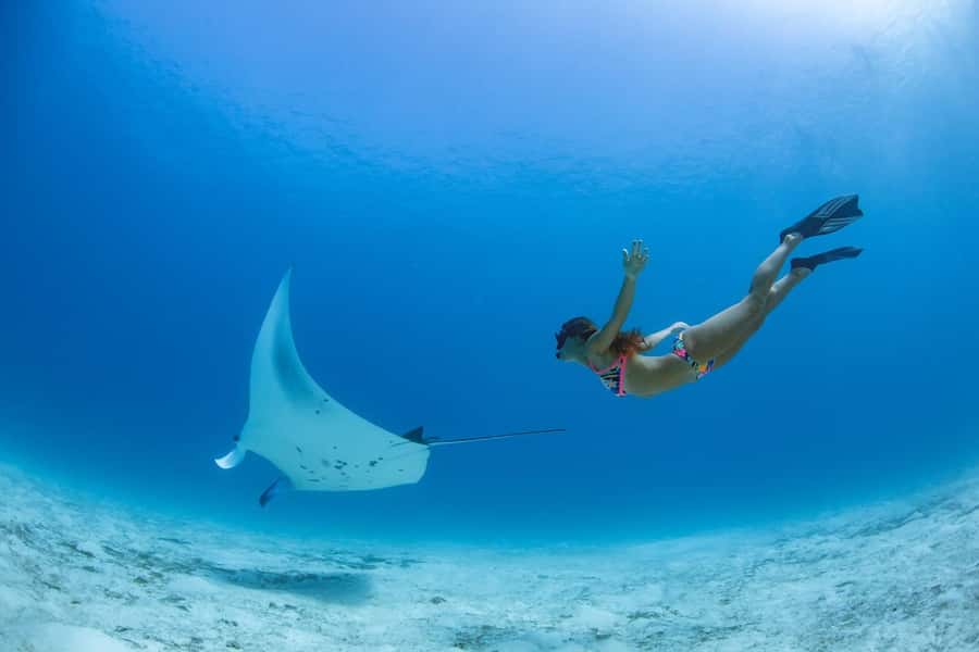 Labuan Bajo: Swim and Snorkel Komodo Island Trip with Lunch - Kanawa Island closes the day with more swimming