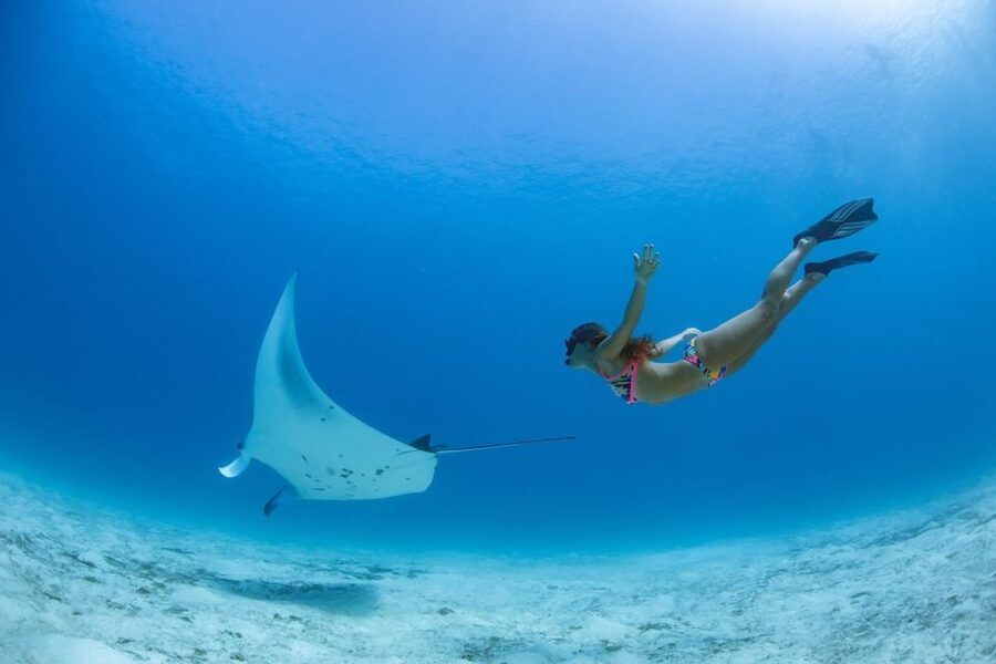 Labuan Bajo: Swim and Snorkel Komodo Island Trip with Lunch - The best and worst parts of the boat day