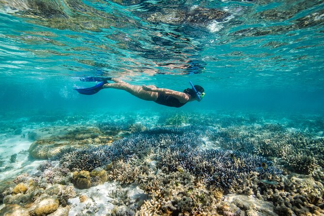 Lady Enid Sailing to Hook Island Cultural Site & Snorkelling - Sailing through the Whitsunday Islands