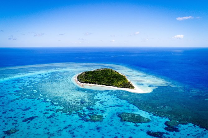 Lady Musgrave Day Trip from Bundaberg Including Snorkeling - What Makes This Lady Musgrave Trip Worth Considering