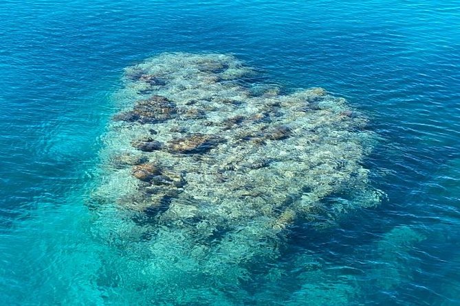 Lady Musgrave Day Trip from Bundaberg Including Snorkeling - The Crew and the Feel of the Day