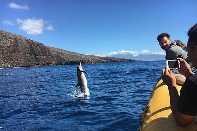 Lanai Deluxe Dolphin Adventure & 3 Snorkel Sites - Leaving Mala Boat Ramp at 8 a.m.