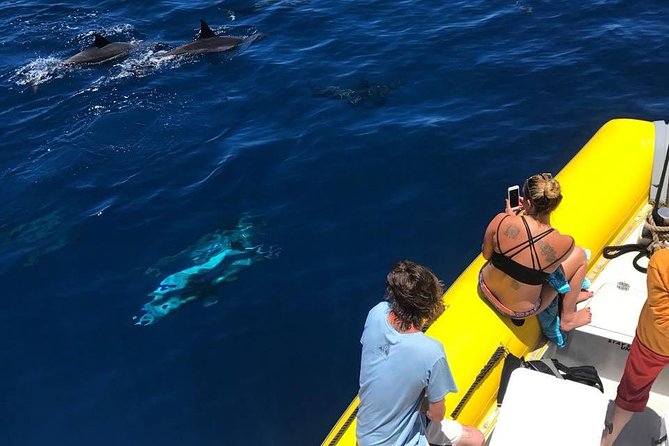 Lanai Deluxe Dolphin Adventure & 3 Snorkel Sites - Three stops, or sometimes only two