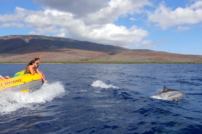 Lanai Deluxe Dolphin Adventure & 3 Snorkel Sites - Is the $200 price good value?