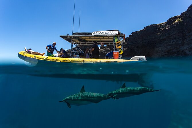 Lanai Deluxe Dolphin Adventure & 3 Snorkel Sites - Who should book this Lanai trip?