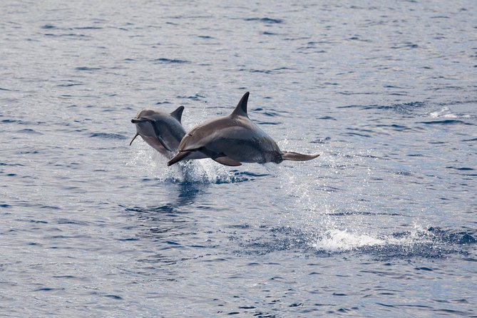 Lanai Snorkel and Dolphin Watch from Maalaea - Breakfast first, then the long crossing toward Lanai