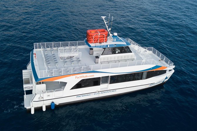 Lanai Snorkel and Dolphin Watch from Maalaea - What the $183.25 fare is really buying