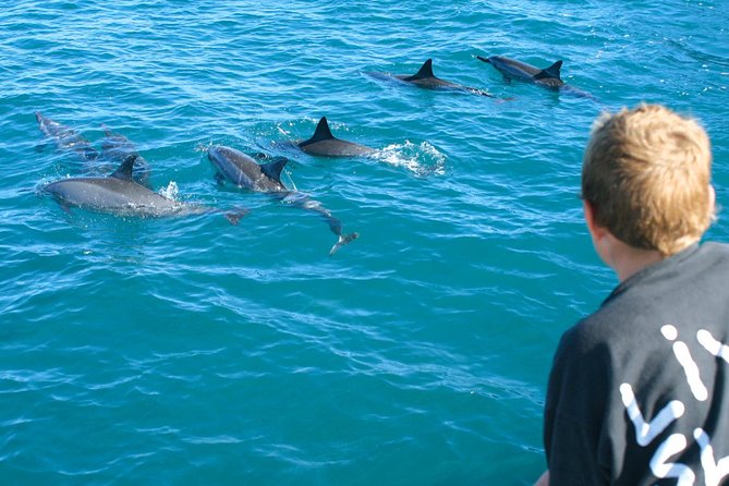 Lanai Snorkel and Dolphin Watch from Maalaea - Lanai’s 90-minute reef stop