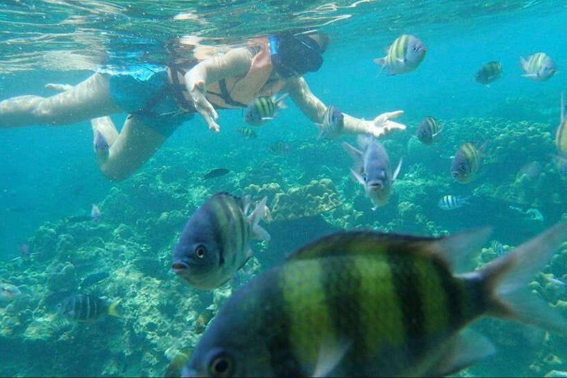 Langkawi: Dangli Island Snorkel and Swim Speedboat Tour - Dangli Island, where the boat becomes your beach