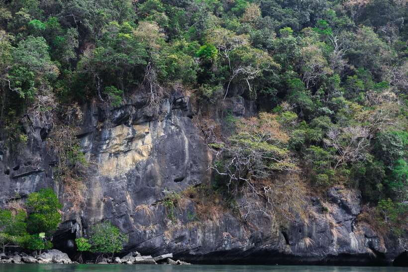 Langkawi Royal Mangrove Tour with Snorkeling Package - What to Expect at Dangi Island