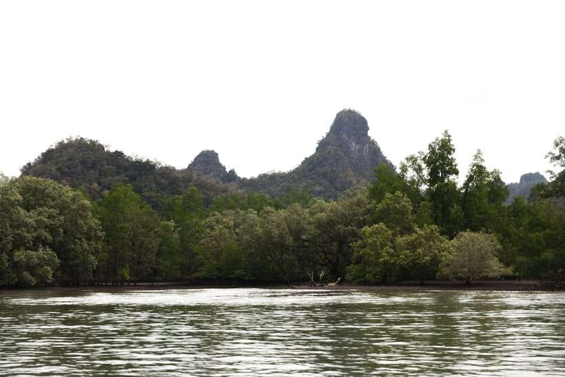 Langkawi Royal Mangrove Tour with Snorkeling Package - Practical Tips for a Smoother Trip
