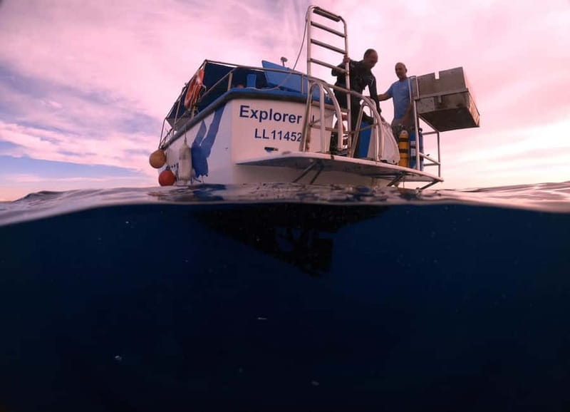 Larnaca: Snorkelling Zenobia Wreck Plus Mini Cruise - From Zephyros Restaurant to Larnaca Fishing Port