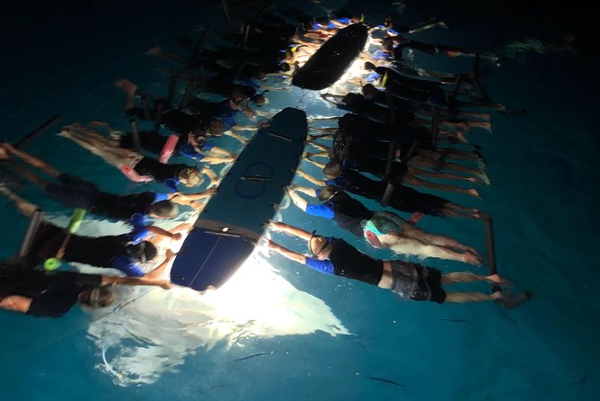 Late Night Manta Snorkel - Why the Kona manta snorkel is so special