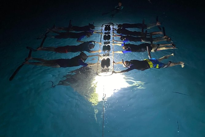 Late Night Manta Snorkel - From Kailua-Kona to Manta Ray Village