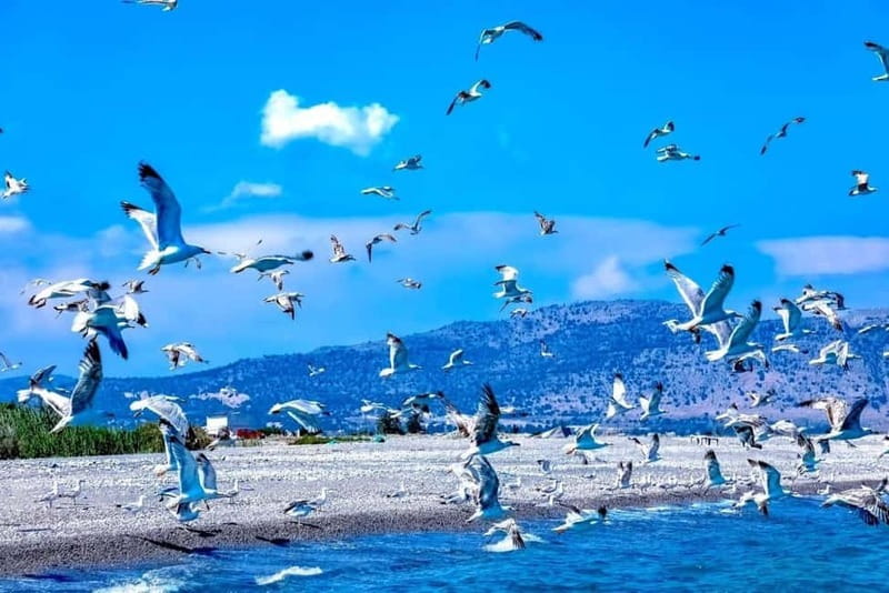 Lindos: Glass Bottom Boat Tour with Snorkeling - Three swim stops and time in the Aegean