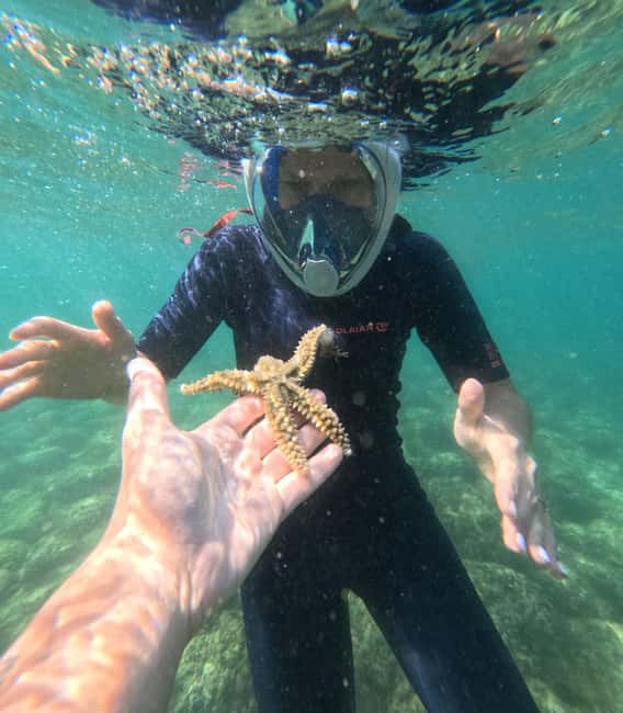 Lisbon: Arrábida Kayak & Wild Beach Snorkeling Pickup Option - The guides make the difference