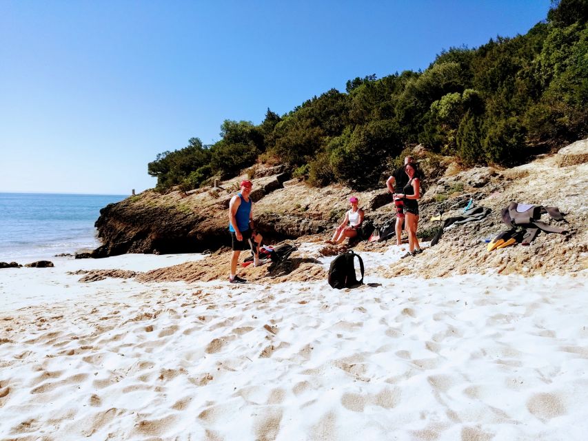 Lisbon: Arrábida Snorkeling Adventure - Why Arrábida Makes a Good Escape from Lisbon