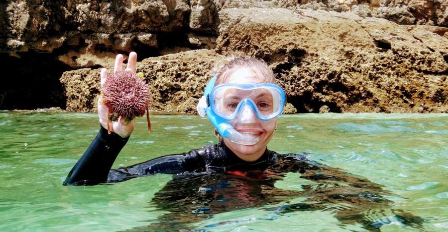 Lisbon: Arrábida Snorkeling Adventure - Meeting at Lisbon Zoo and Setting Out