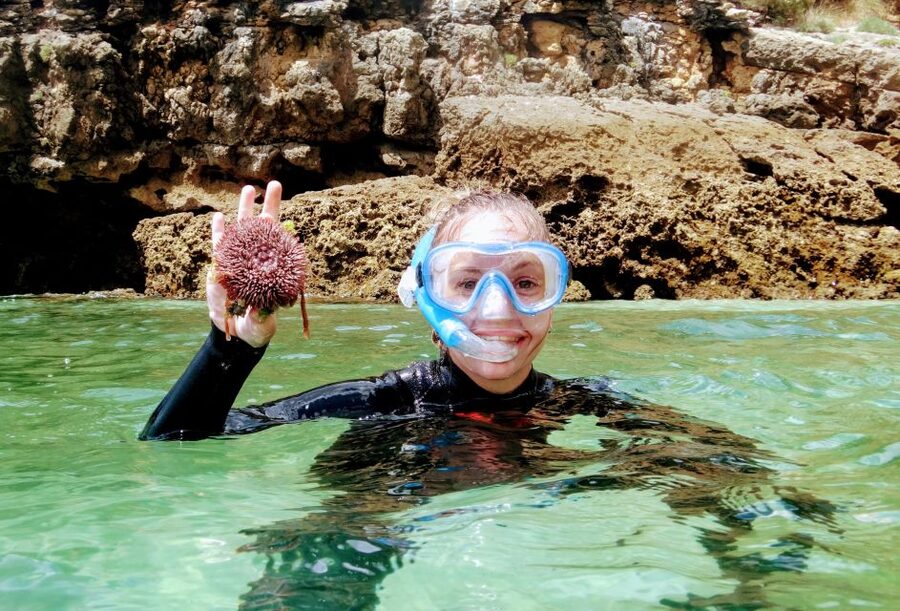 Lisbon: Arrábida Snorkeling Adventure - What Snorkeling in Arrábida Is Like