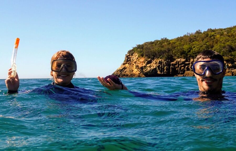 Lisbon: Arrábida Snorkeling Adventure - Is $94 a Fair Price?