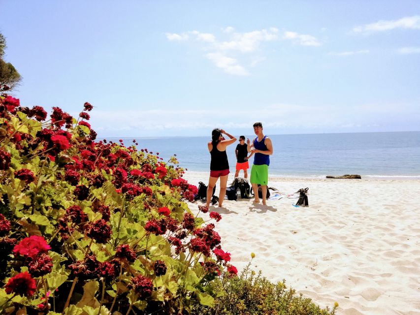 Lisbon: Arrábida Snorkeling Adventure - Who Will Enjoy This Arrábida Outing Most?