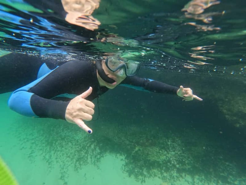 Lisbon: Snorkeling experience in Marine Reserve with photos - Booking, cancellation, and timing