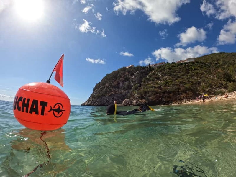 Lisbon: Snorkeling experience in Marine Reserve with photos - Why Sesimbra is the right setting for snorkeling