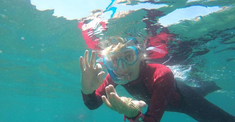 Lisbon: Snorkelling in Sesimbra/Arrábida Natural Park - Key points to know before you book