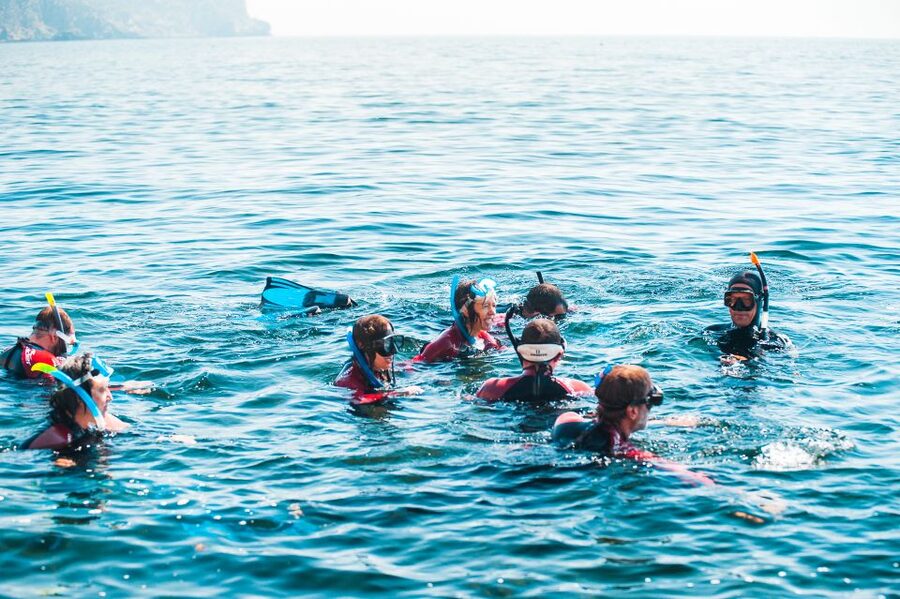 Lisbon: Snorkelling in Sesimbra/Arrábida Natural Park - Guide care makes the biggest difference