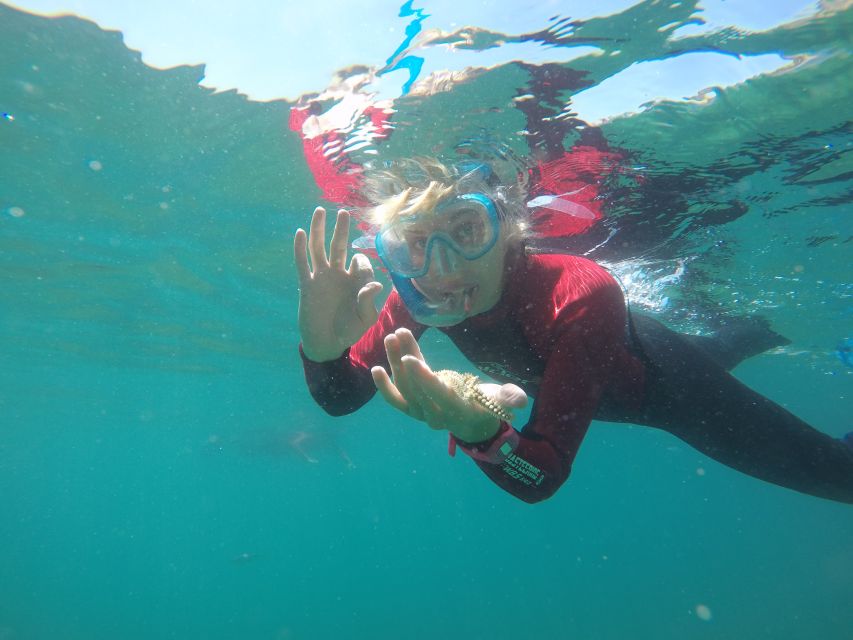 Lisbon: Snorkelling in Sesimbra/Arrábida Natural Park - Meeting near Sesimbra’s diving centers