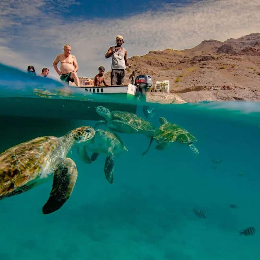 Live Snorkeling & Swimming with Sea Turtles in the Atlantic - Boarding the fishing boat