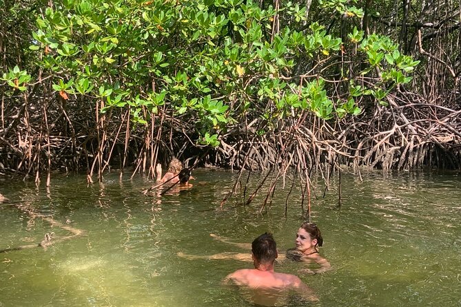 Local Excursion | Paradise Island Punto Rucia & snorkeling - Fish, coral, and the limits of a sand cay