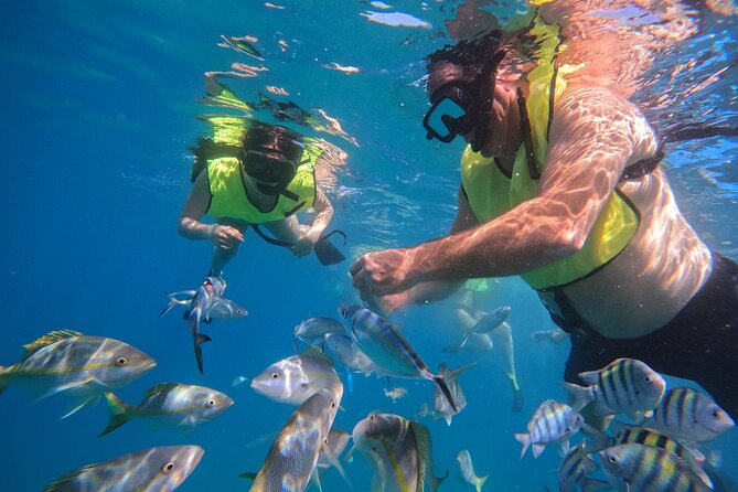 Local Excursion | Paradise Island Punto Rucia & snorkeling - Tropical fruit, drinks, and a Dominican buffet
