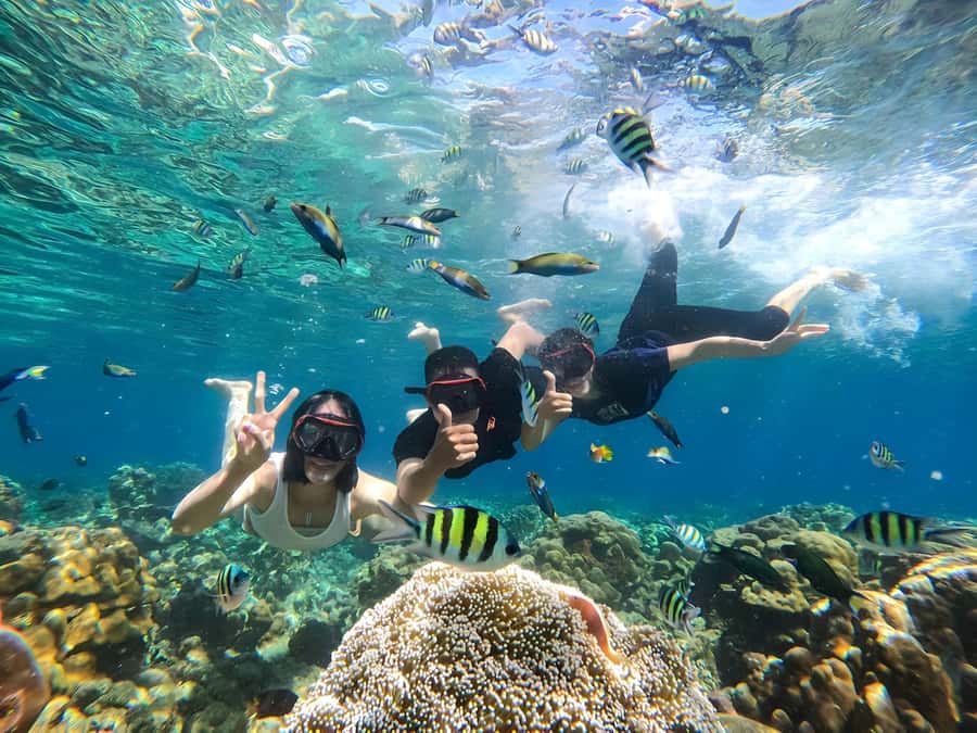 Lombok: Gili Nanggu, Sudak and Kedis Private Snorkeling Tour - Why this island trip works so well