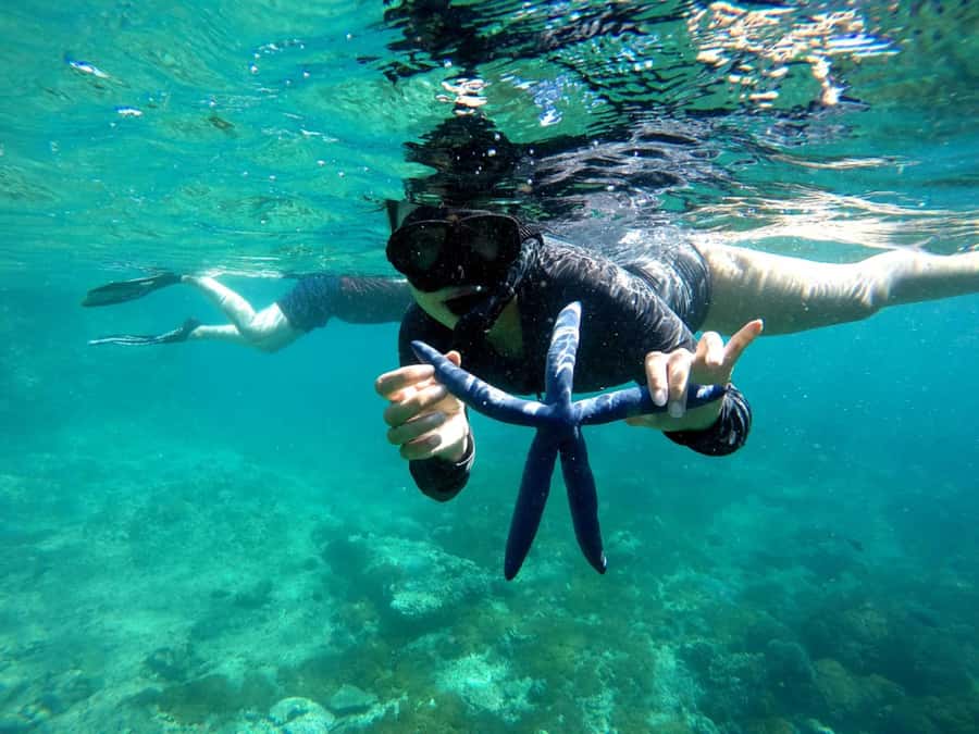 Lombok: Gili Nanggu, Sudak and Kedis Private Snorkeling Tour - The weaving village stop needs clarification