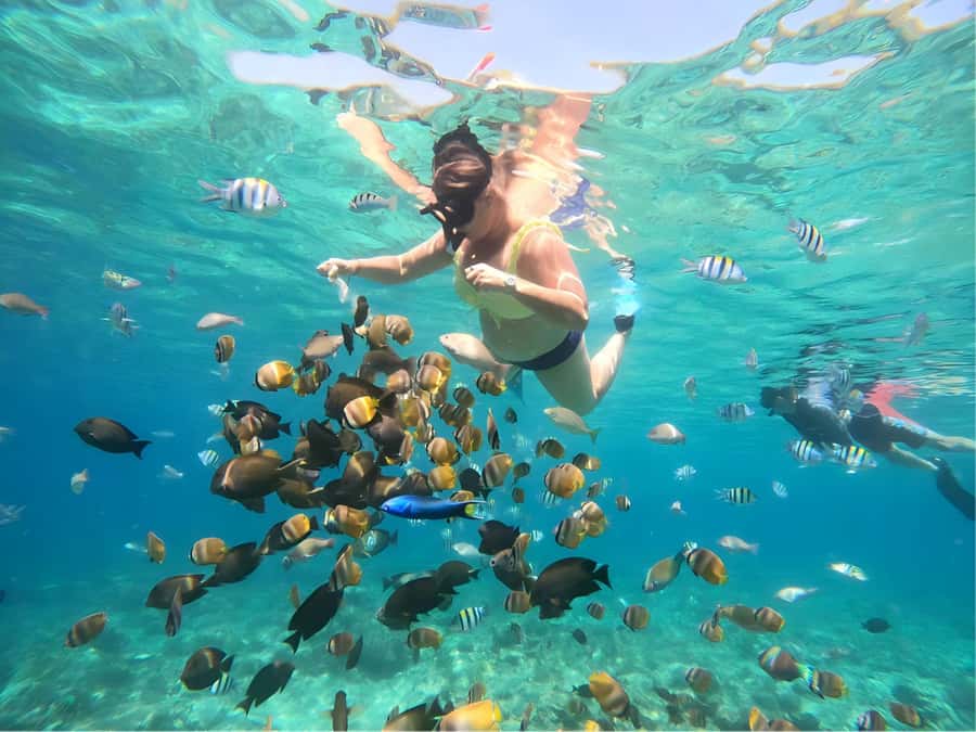 Lombok: Gili Nanggu, Sudak and Kedis Private Snorkeling Tour - Starting at Tawun village near Sekotong
