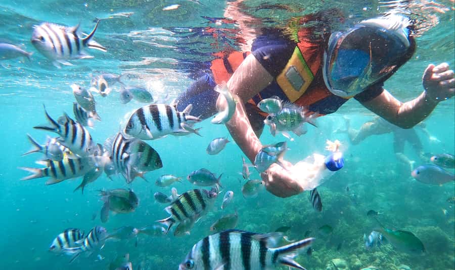 Lombok: Gili Nanggu, Sudak, & Gili Kedis Private Snorkeling - Key points before you book