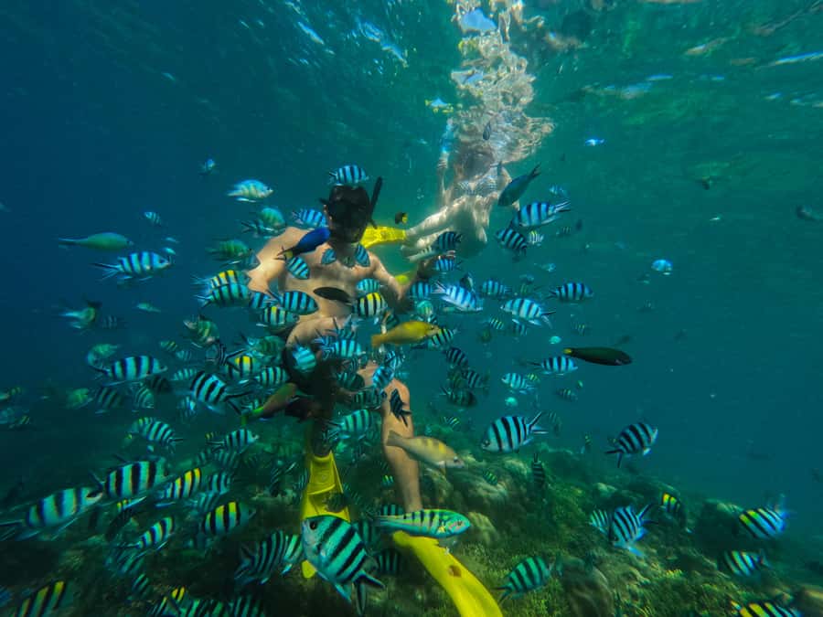 Lombok: Gili Nanggu, Sudak, & Gili Kedis Private Snorkeling - What the $48 price really buys you