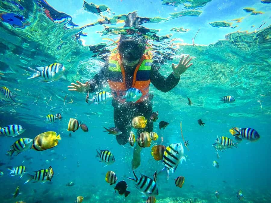 Lombok: Gili Nanggu, Sudak, & Gili Kedis Private Snorkeling - Gili Nanggu: the best water of the day