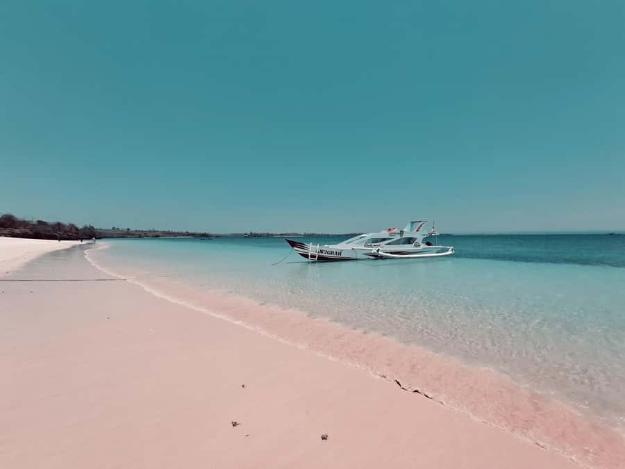 Lombok: Pink Beach, Snorkeling, & Tanjung Ringgit Tour - Guides, boat crew, and personal service