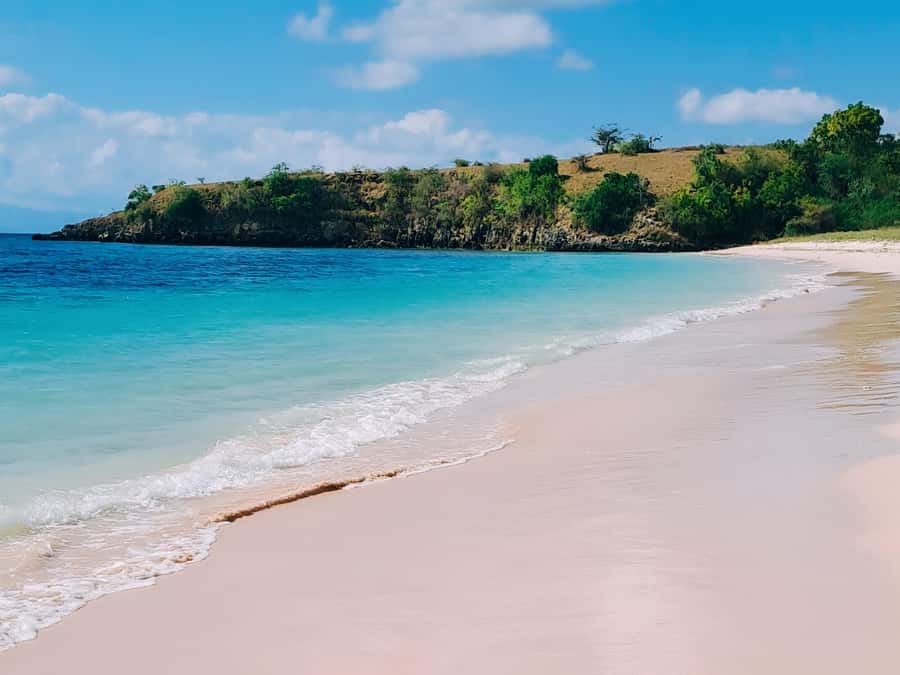 Lombok: Pink Beach, Snorkeling, & Tanjung Ringgit Tour - Value, comfort, and who should book