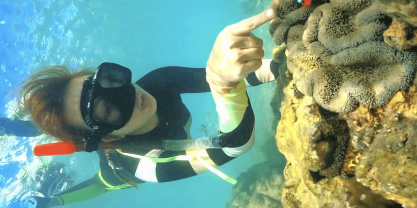 Lombok:Privat Snorkeling Gili Nanggu,Gili Sudak,Gili Kedis. - What is included for $64