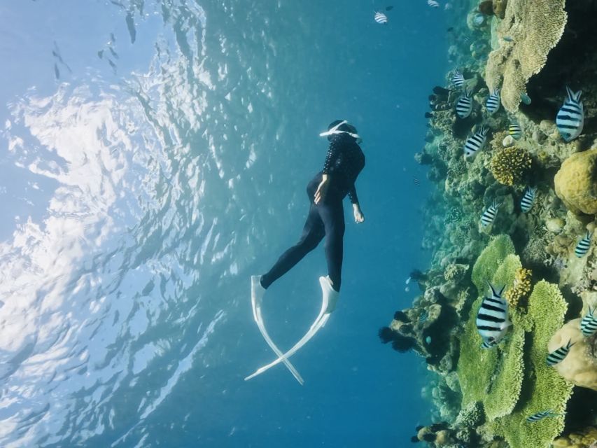 Lombok:Privat Snorkeling Gili Nanggu,Gili Sudak,Gili Kedis. - Who will enjoy this tour most