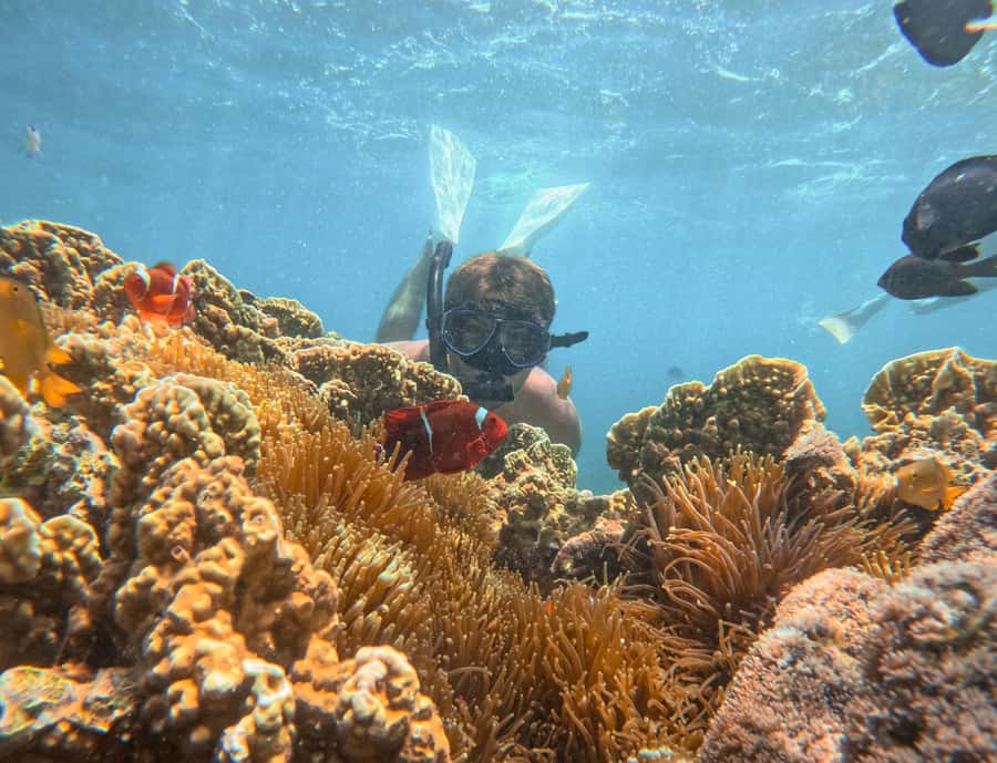 Lombok: Private Pink Beach & Gili Snorkeling Tour with GoPro - Pink Beach 3 and the color of the sand